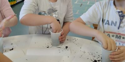 Пројекат “На имању мога деде”