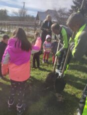 Садња Стабала Воћа